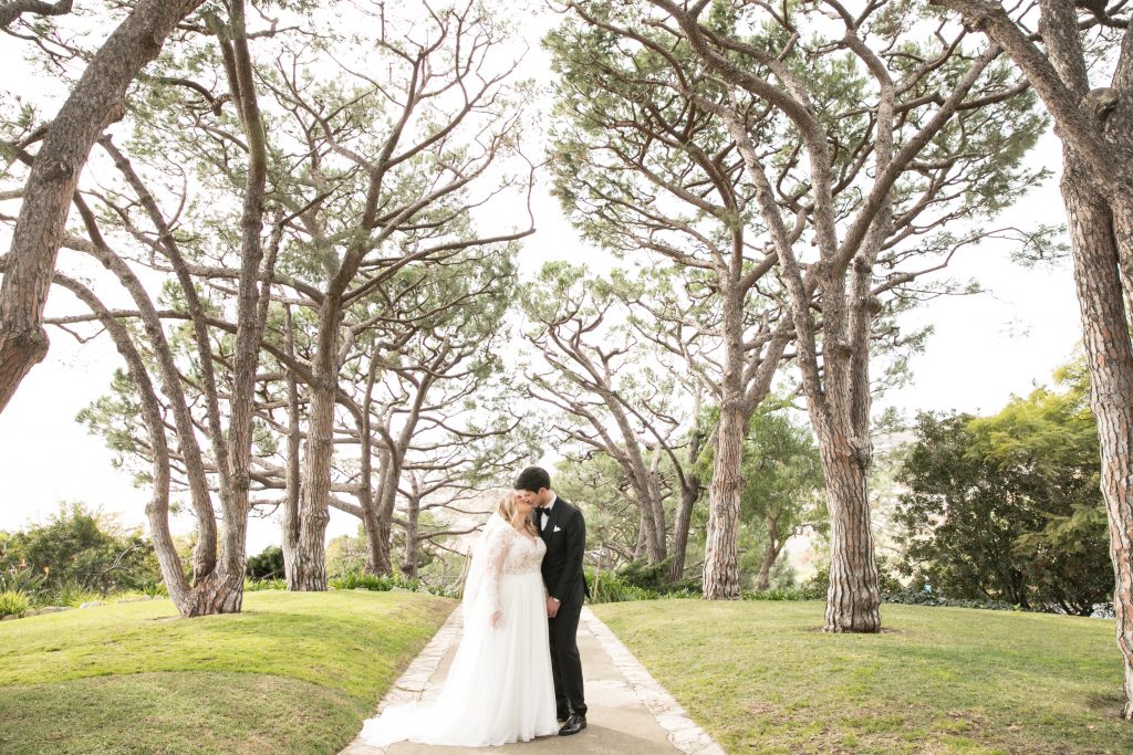 bride and groom kiss under tree lines path
